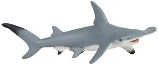 Requin marteau