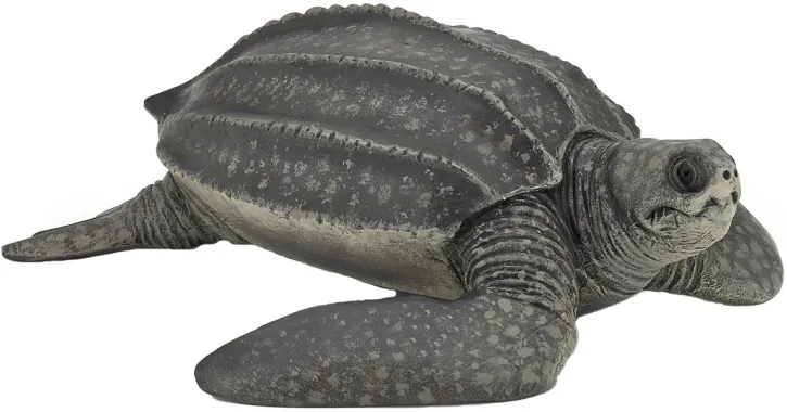 Papo L&#039;univers marin 56022 : Tortue Luth