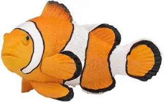 Poisson clown