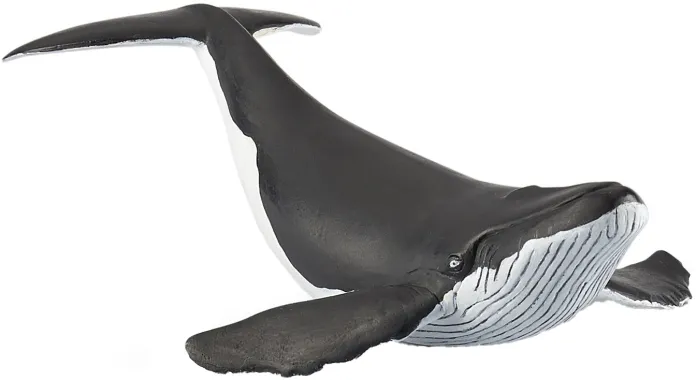 Papo L&#039;univers marin 56035 : Baleineau