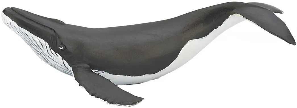 Papo L&#039;univers marin 56035 : Baleineau