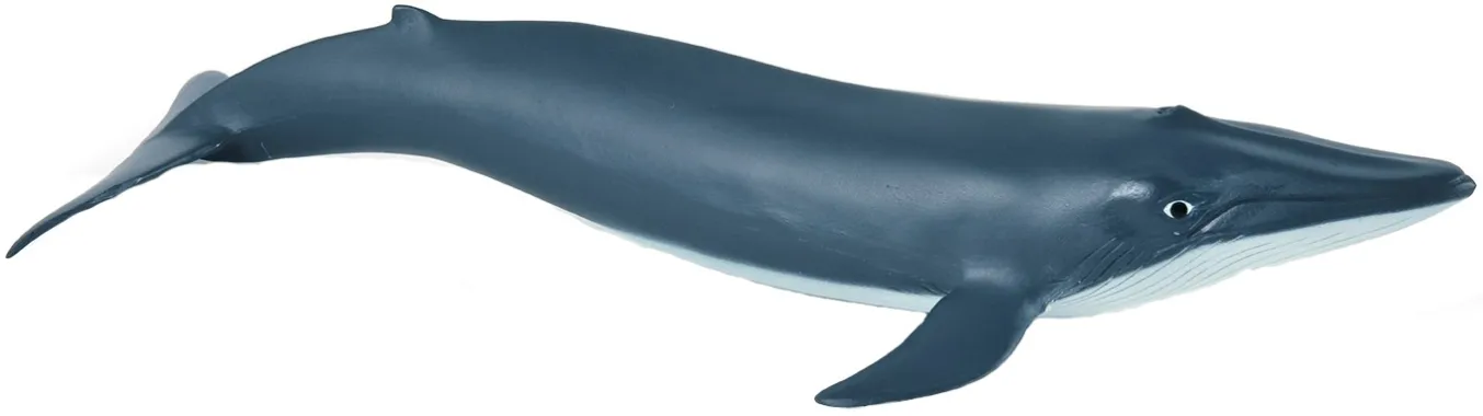 Papo L&#039;univers marin 56041 : Bébé baleine bleue