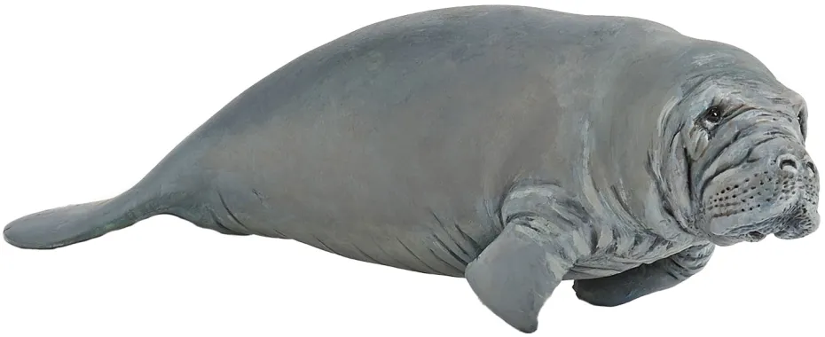 Papo L&#039;univers marin 56043 : Lamantin