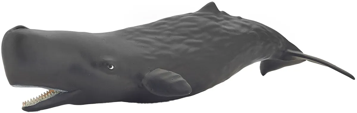 Papo L&#039;univers marin 56045 : Bébé cachalot