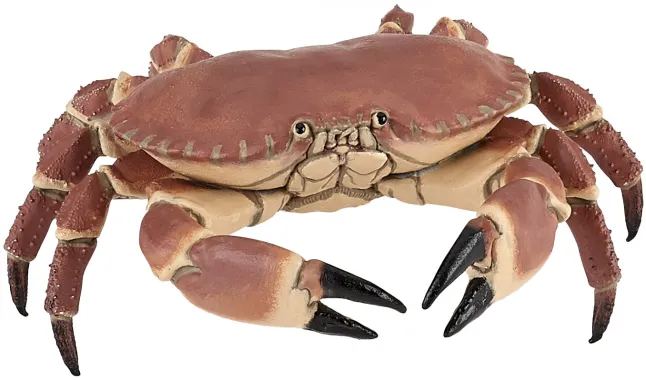 Papo L&#039;univers marin 56047 : Crabe
