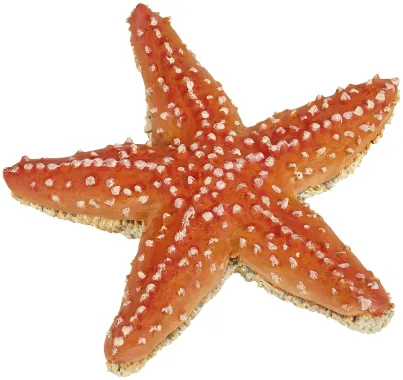 Papo L&#039;univers marin 56050 : Etoile de mer