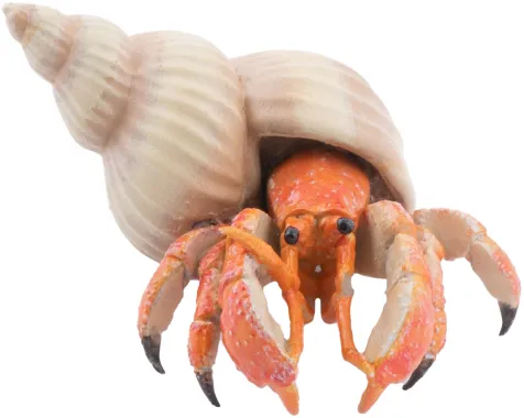 Papo L&#039;univers marin 56054 : Bernard l&#039;hermite