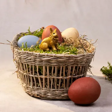 Schleich Farm World 72276 : Lapin doré