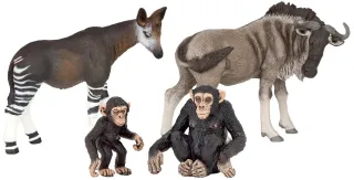 Boîte présentoir animaux sauvages 1 (4 fig.)