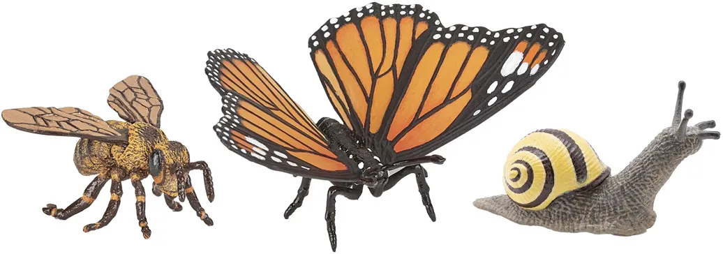 Papo Animaux des jardins 80009 : Boîte insectes #2