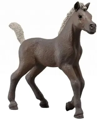 Schleich Horse Club 81460 : Poulain à Collectionner Darcy