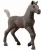 Schleich Horse Club 81460 : Poulain à Collectionner Darcy