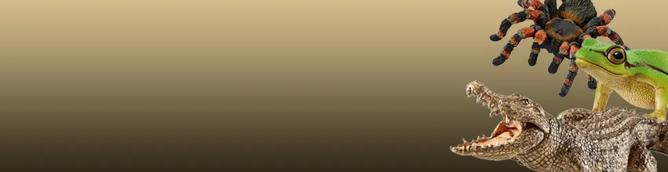 Figurines Insectes, Reptiles et Amphibiens